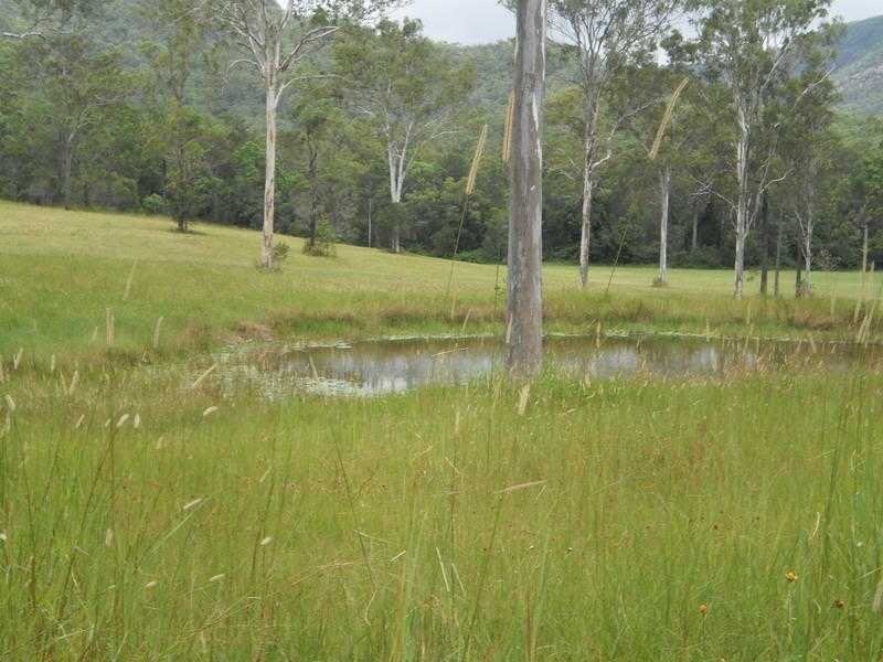 Lot 4 Oakey Creek Road, Kenilworth QLD 4574