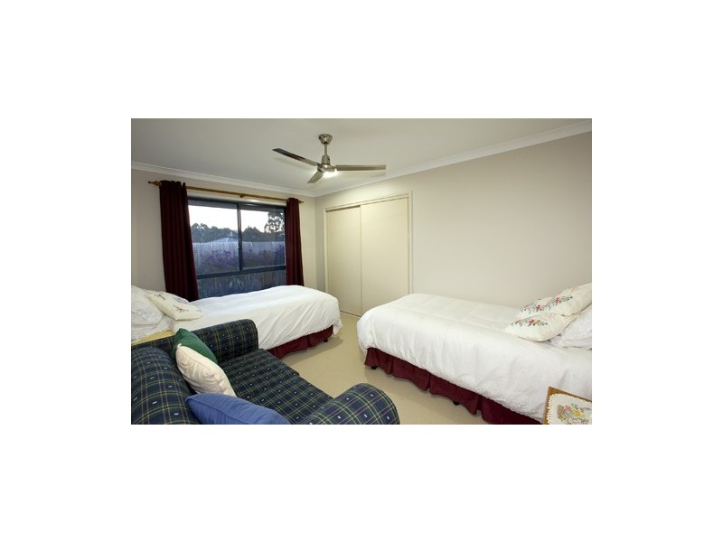 43 Paynters Pocket Avenue, Palmwoods QLD 4555