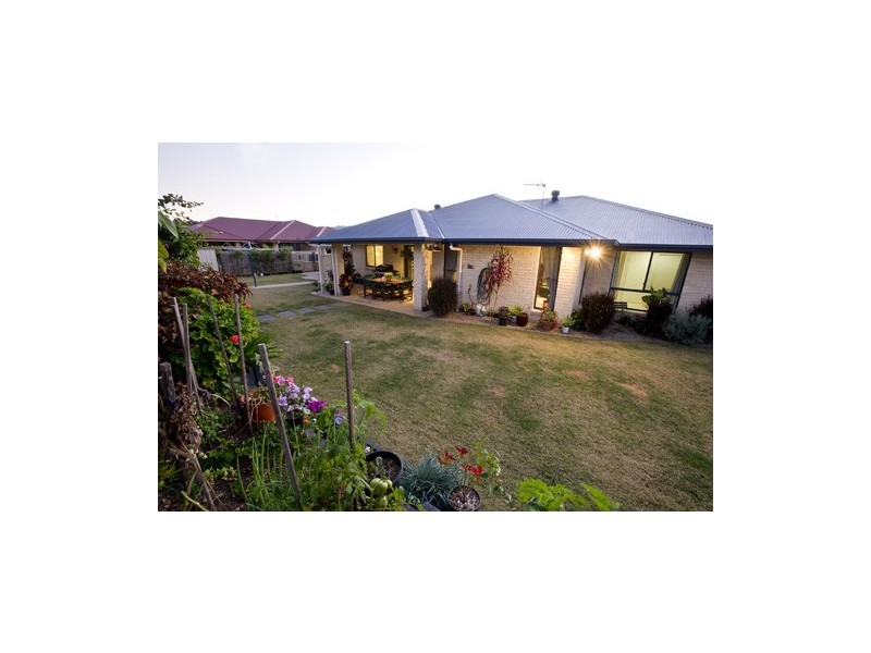 43 Paynters Pocket Avenue, Palmwoods QLD 4555