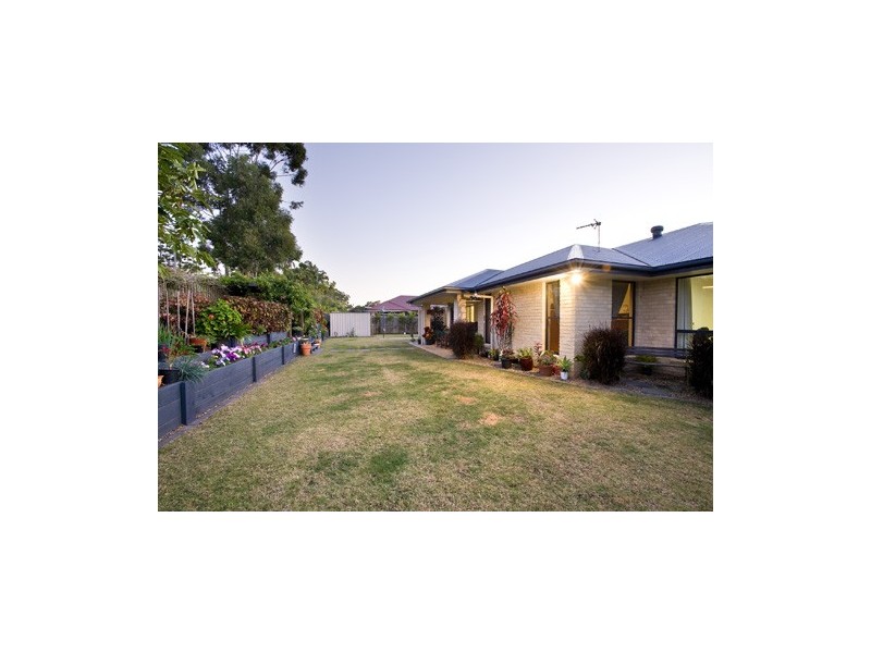 43 Paynters Pocket Avenue, Palmwoods QLD 4555