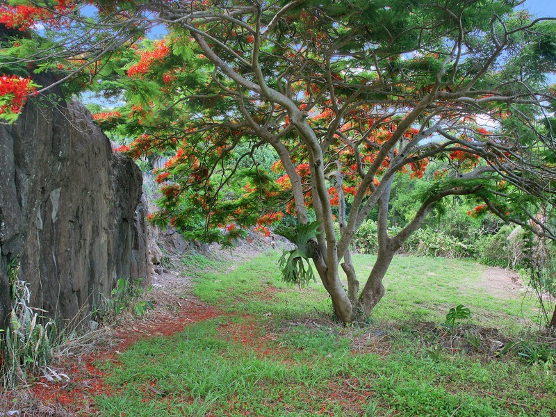 41A Ferguson Avenue, Buderim QLD 4556