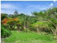 41A Ferguson Avenue, Buderim QLD 4556