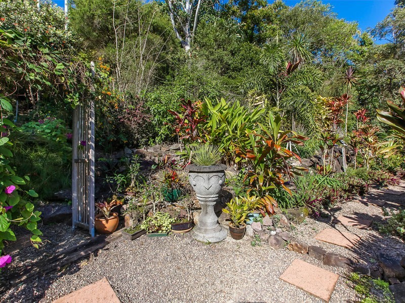 31 Turnipwood Drive, Buderim QLD 4556