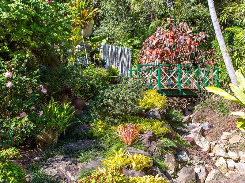 31 Turnipwood Drive, Buderim QLD 4556