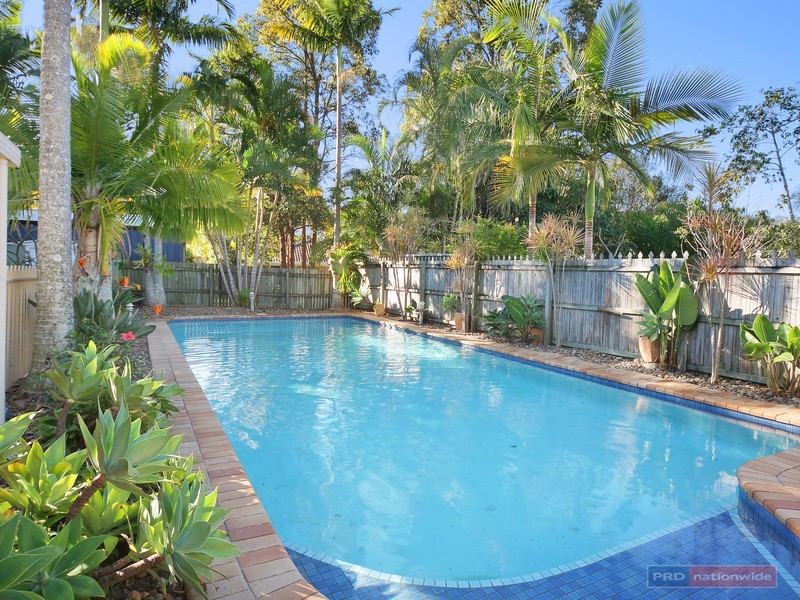 3 Attenborough Close, Buderim QLD 4556