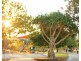 51 – 55 The Esplanade, Cotton Tree QLD 4558