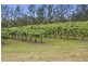 359 Raynbird Road, Narangba QLD 4504