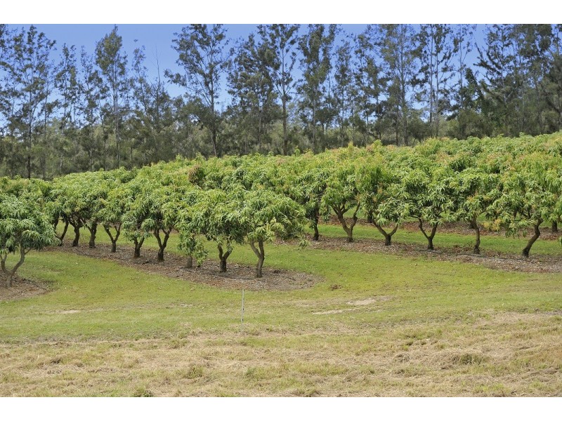 359 Raynbird Road, Narangba QLD 4504