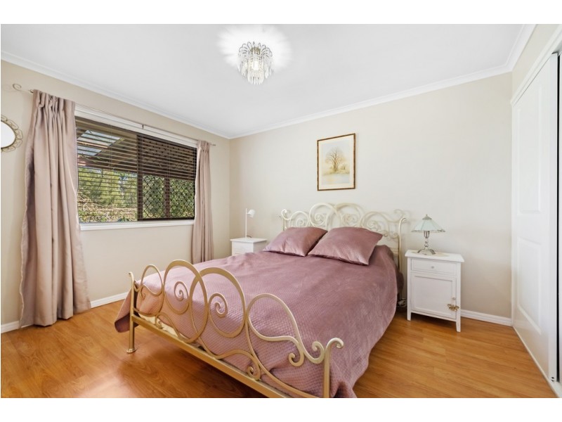 14 Thomas Street, Narangba QLD 4504