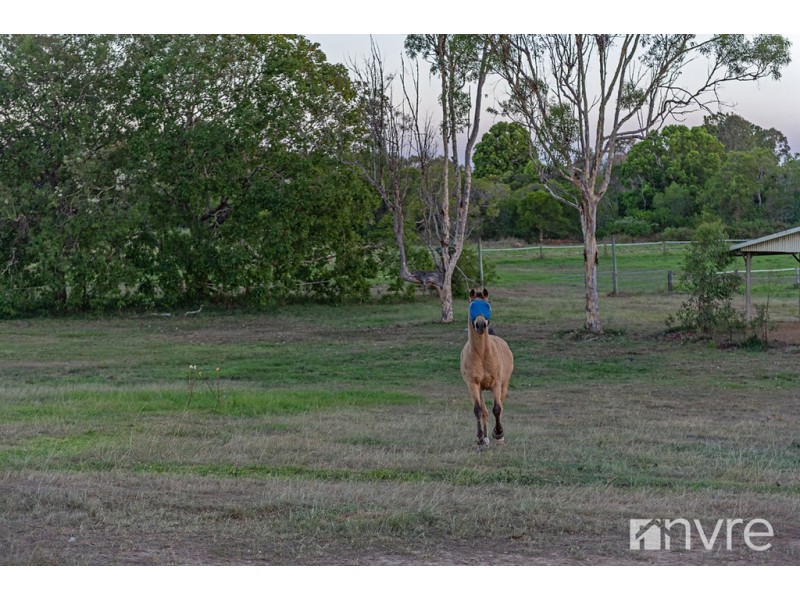 77 Browns Road, Kurwongbah QLD 4503