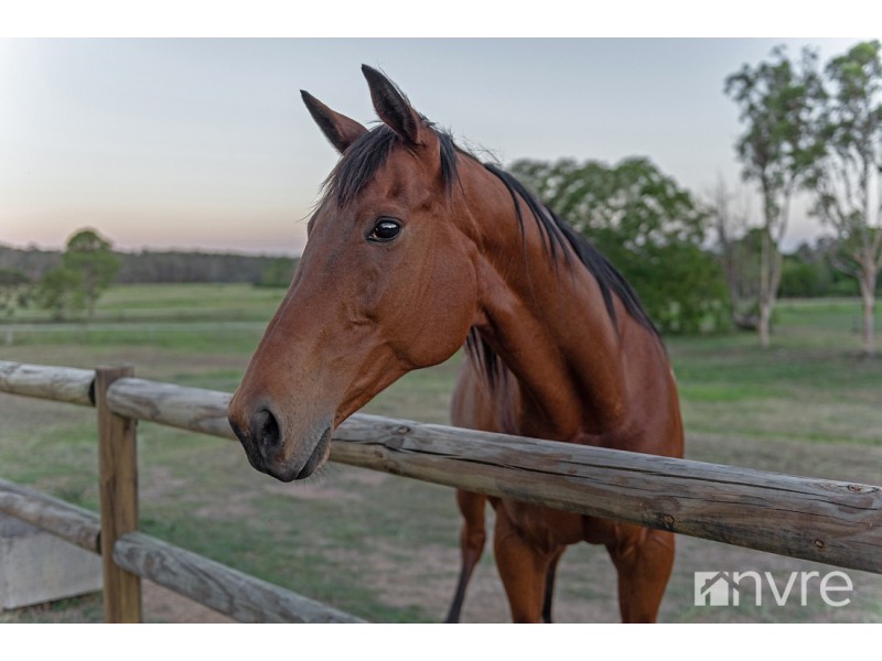 77 Browns Road, Kurwongbah QLD 4503
