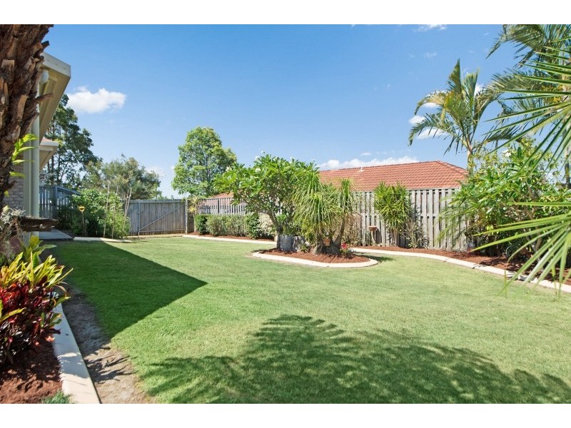 4 Figbird Road, Narangba QLD 4504