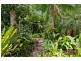 19-21 Ward Drive, Morayfield QLD 4506