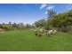 21 Cottonwood Street, Narangba QLD 4504