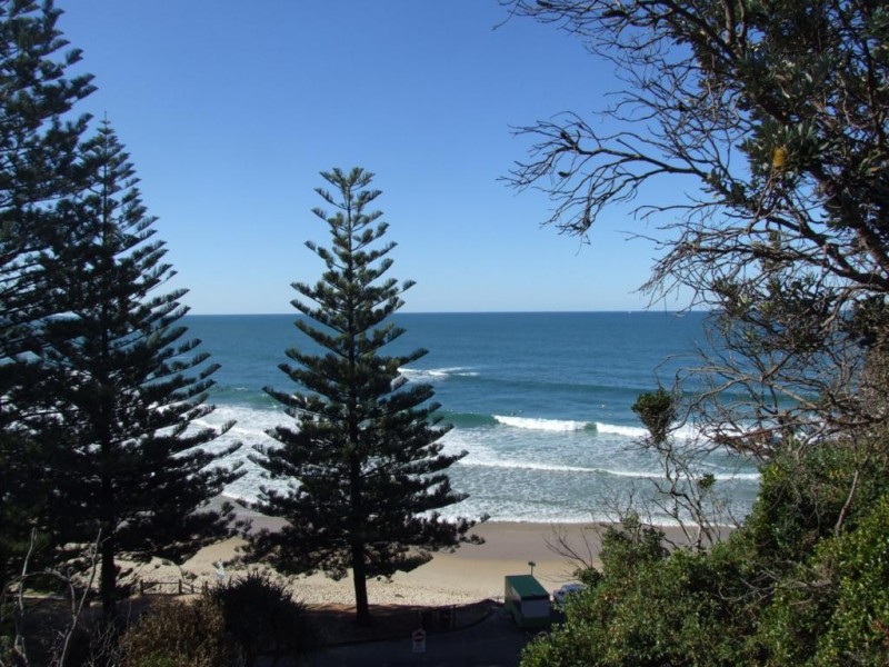 3/51 Pacific Drive, Port Macquarie NSW 2444