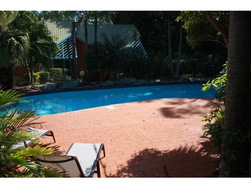 8/156 Pacific Drive, Port Macquarie NSW 2444