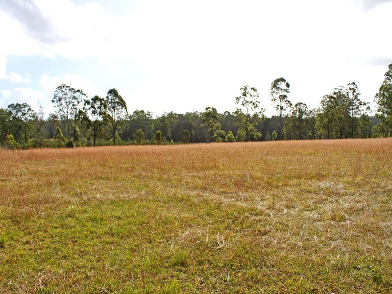 509 Spooners Avenue, Collombatti NSW 2440