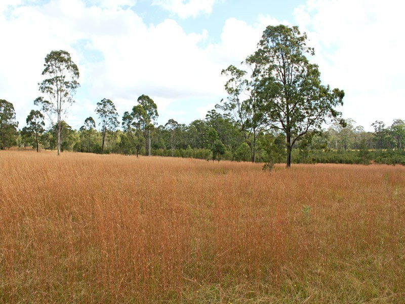 509 Spooners Avenue, Collombatti NSW 2440