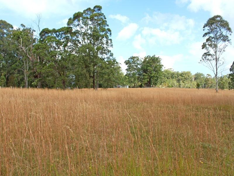 509 Spooners Avenue, Collombatti NSW 2440