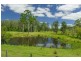 76 McMillan Drive, Blackmans Point NSW 2444