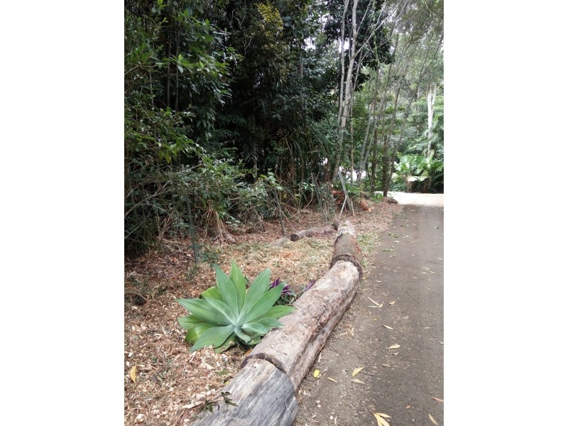 8 Coconut Grove, Kuranda QLD 4881