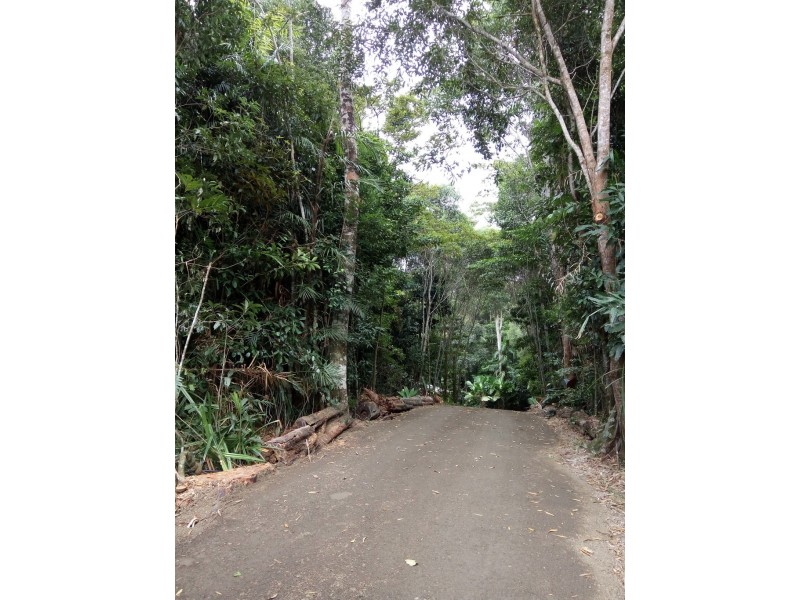 8 Coconut Grove, Kuranda QLD 4881