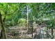 8 Lillian Road, Palm Cove QLD 4879