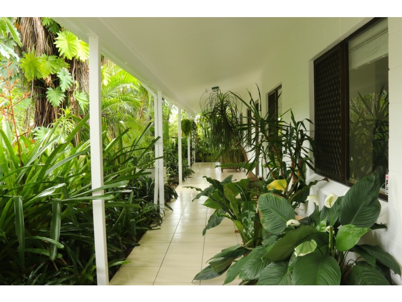 6 Sandra Close, Trinity Park QLD 4879