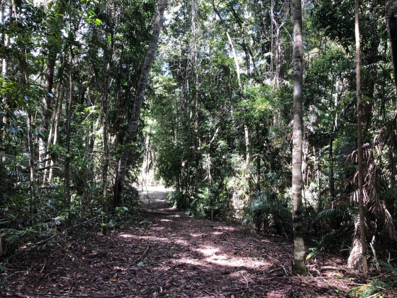 36 Sanctuary Close, Speewah QLD 4881