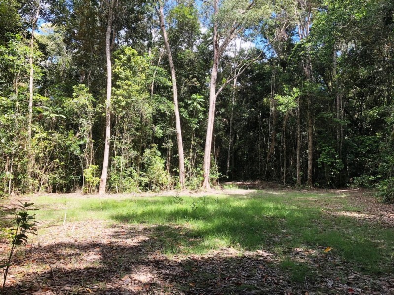 36 Sanctuary Close, Speewah QLD 4881