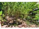 21 Platypus Close, Kuranda QLD 4881