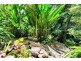 21 Platypus Close, Kuranda QLD 4881