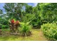 17 Morton St, Kuranda QLD 4881