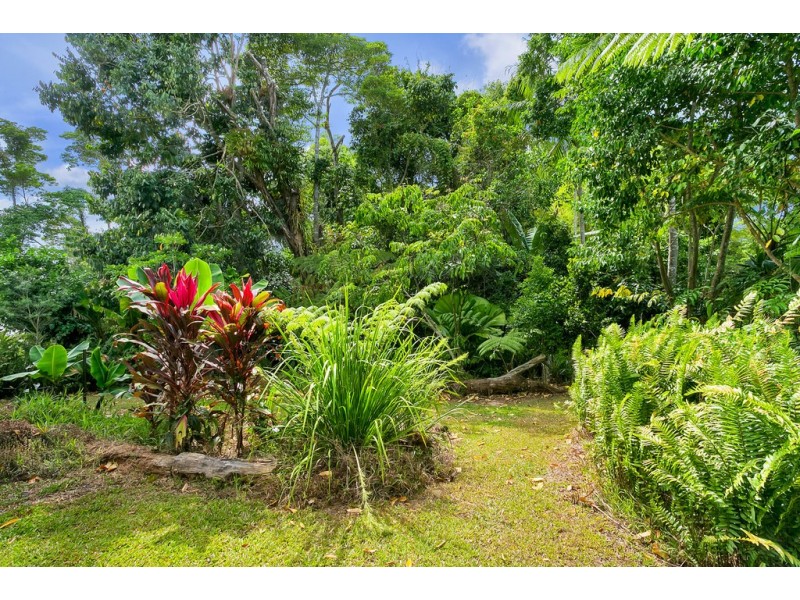 17 Morton St, Kuranda QLD 4881