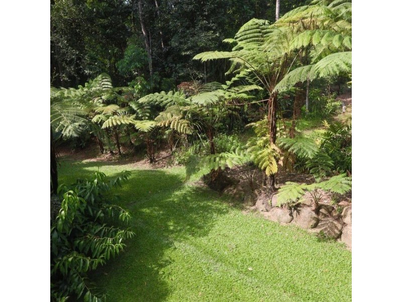 9 Saddle Mountain Road, Kuranda QLD 4881