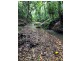 9 Saddle Mountain Road, Kuranda QLD 4881