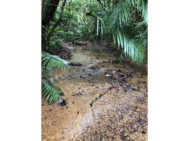 9 Saddle Mountain Road, Kuranda QLD 4881