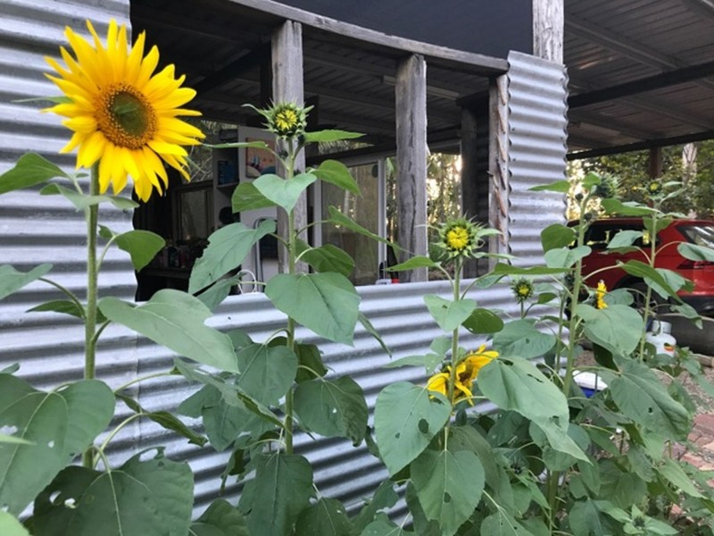 406 Koah Road, Koah QLD 4881