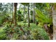 17 Bangalow Place, Kuranda QLD 4881