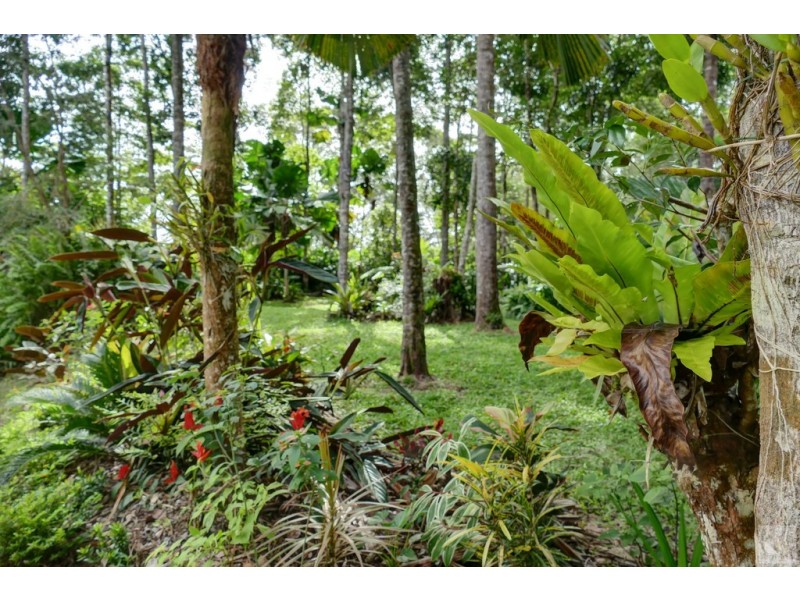 17 Bangalow Place, Kuranda QLD 4881