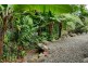 17 Bangalow Place, Kuranda QLD 4881