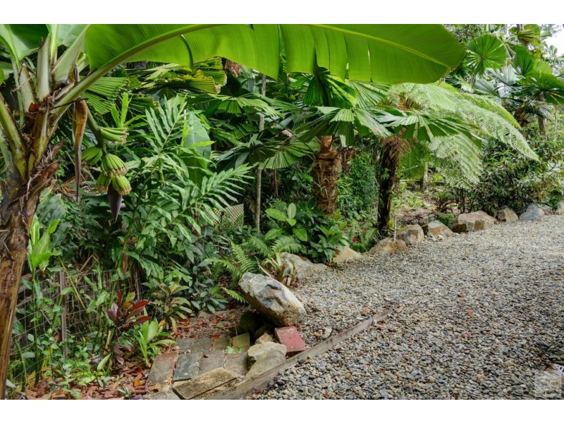 17 Bangalow Place, Kuranda QLD 4881
