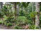 17 Bangalow Place, Kuranda QLD 4881