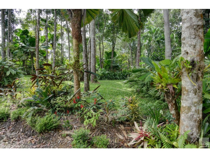 17 Bangalow Place, Kuranda QLD 4881