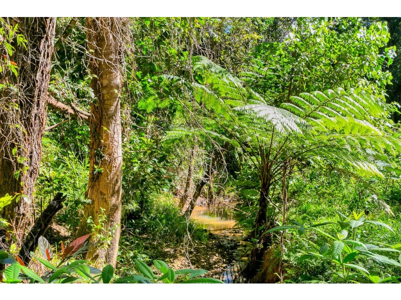40 Williamson Drive, Kuranda QLD 4881