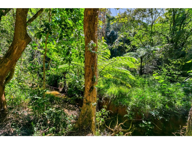 40 Williamson Drive, Kuranda QLD 4881