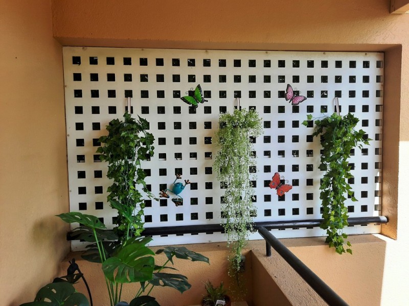 12/217-219 Little Spence Street, Bungalow QLD 4870