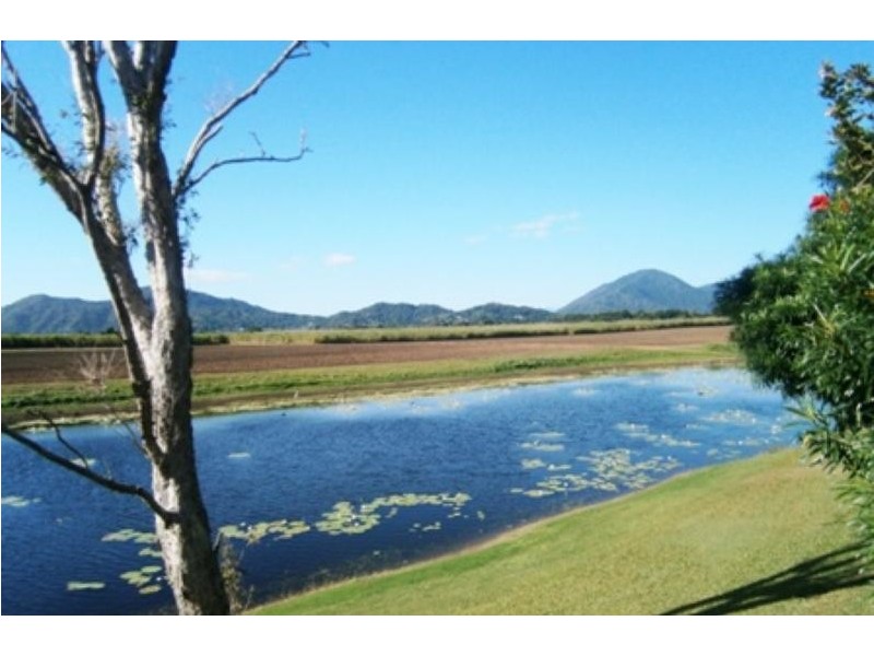 1042 Kamerunga Road, Caravonica QLD 4878