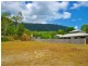 Palm Cove QLD 4879