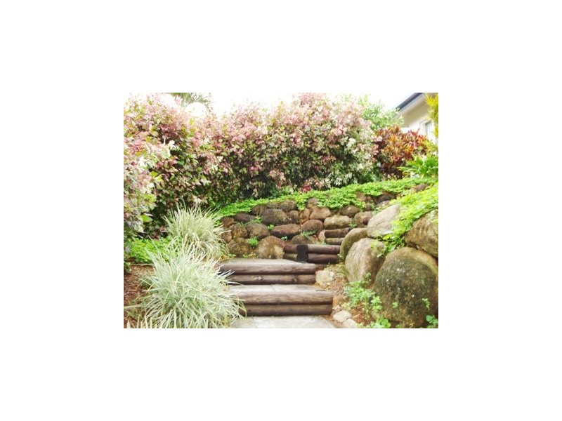 38 Terminalia Street, Redlynch QLD 4870